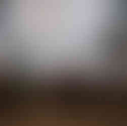 A traditional and cultural festival in Morocco with tbourida shows