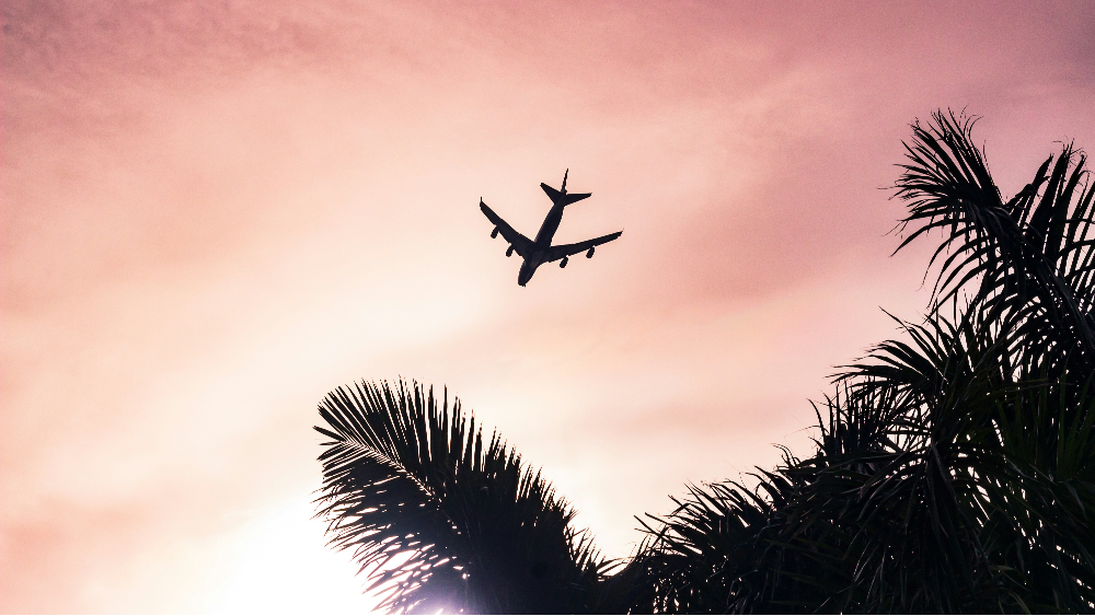 Plane flies over silhouetted palm trees against a vibrant pink sky at sunset, conveying a sense of travel and adventure.