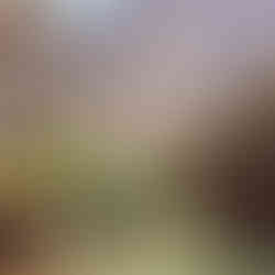 local restaurant in paradise valley near agadir morocco