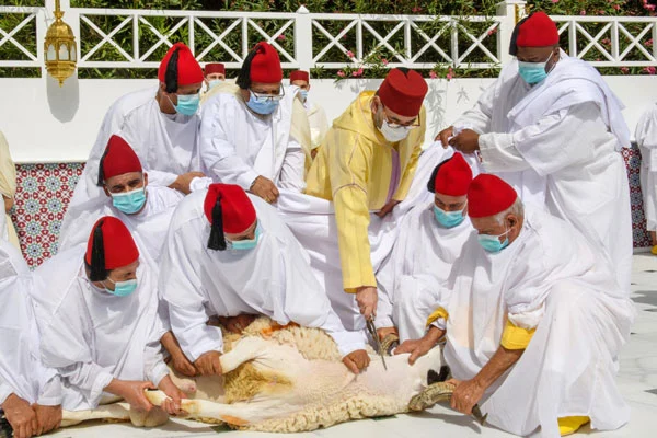 morocco during al adha
