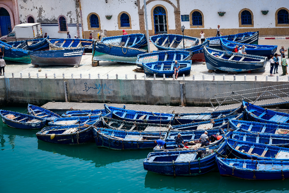 blue traditional fishing boats in essaouira morocco