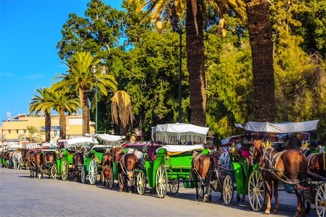 Horses and wagons in Marrakech Gueliz