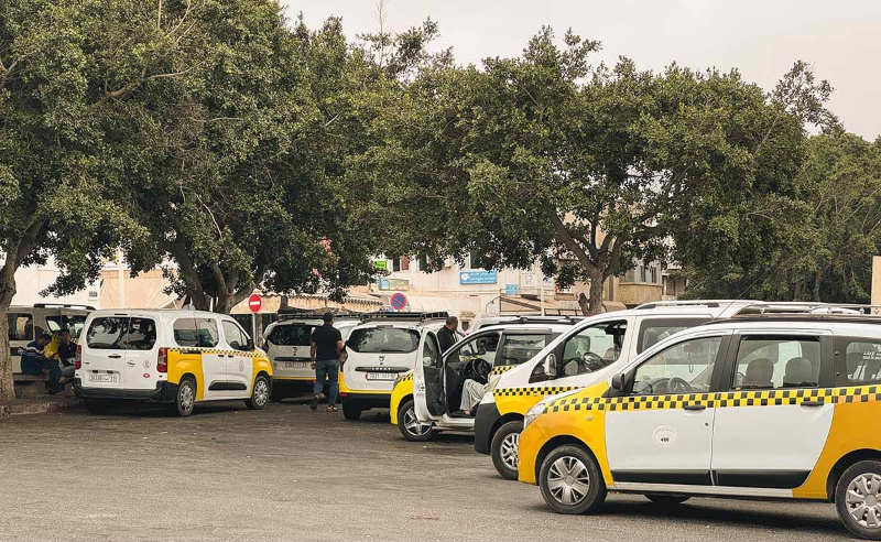Yellow and white taxis parked under shady trees in a lot, with people walking nearby. Buildings and street signs are visible in the background.