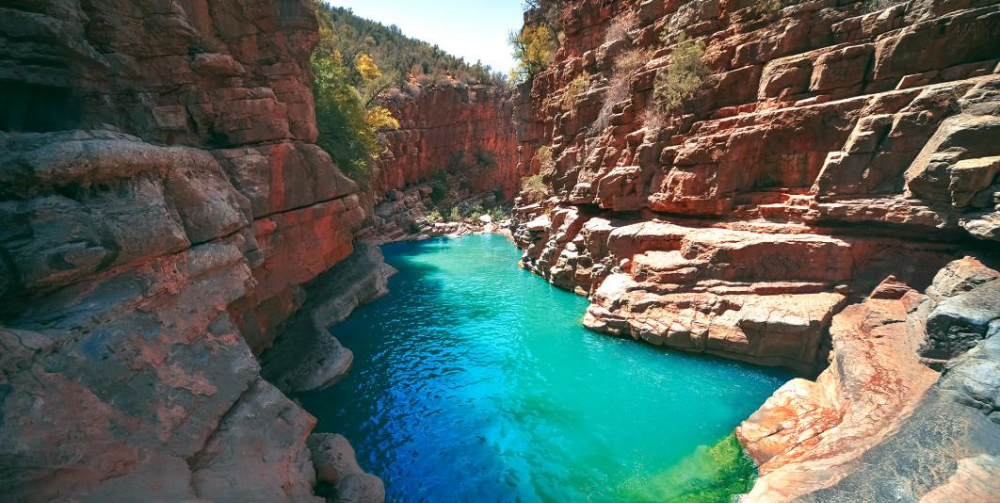 Clear blue water flows through a rocky canyon surrounded by red cliffs and green trees, creating a serene and vibrant natural scene. The location is paradise valley near agadir morocco.