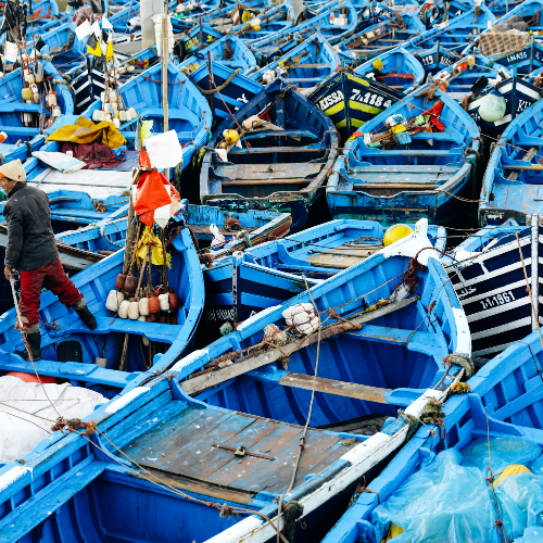 Numerous blue wooden boats tightly packed in a harbor. A person in red pants navigates between them. Bright flags and ropes are visible. it’s essaouira morocco.