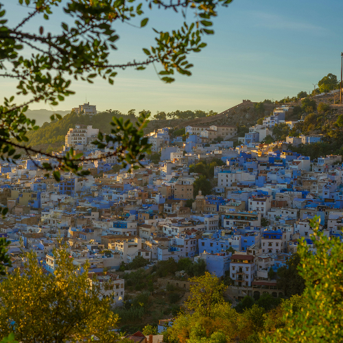 Hillside town with blue and white buildings under a clear sky, framed by green branches. Sunlight casts a warm glow, creating a serene mood. it’s chefchaouen morocco in spring