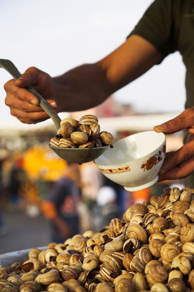 Street food in Morocco: Snails soup