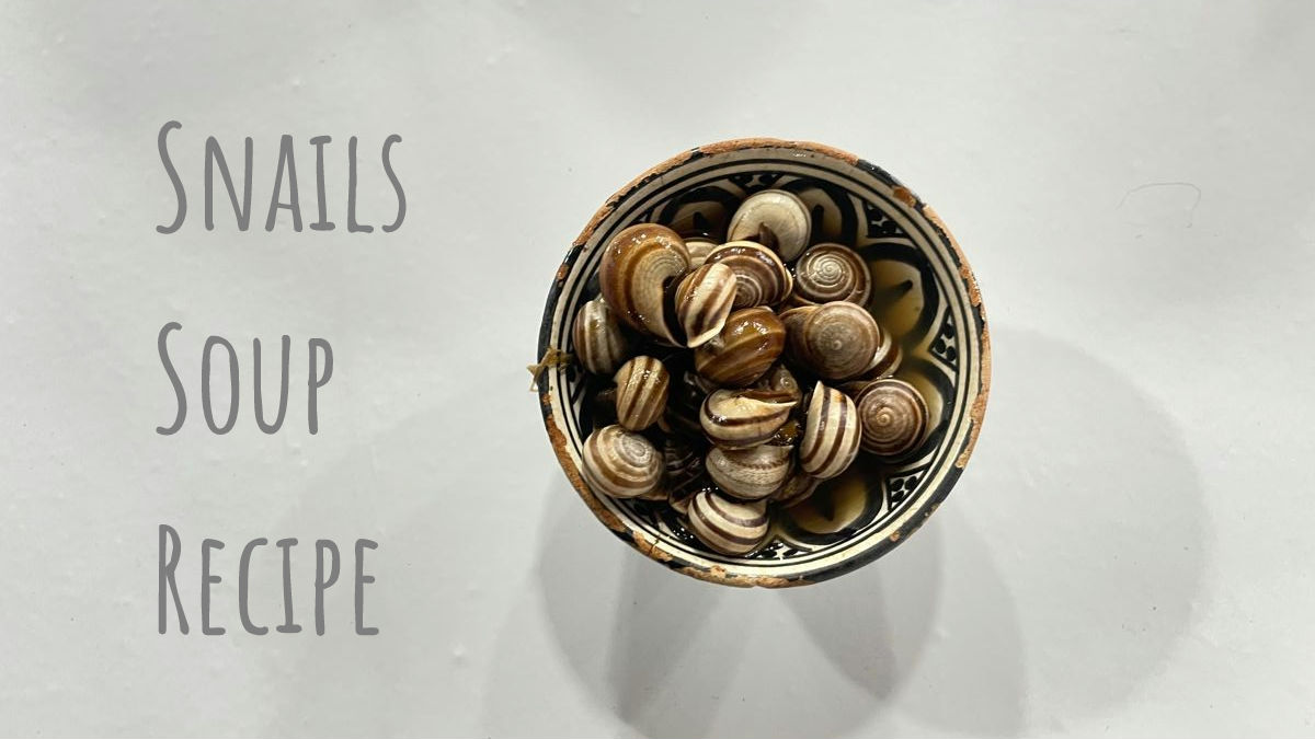 Moroccan Snails Soup (Babbouche) Recipe: Dare to Try It?