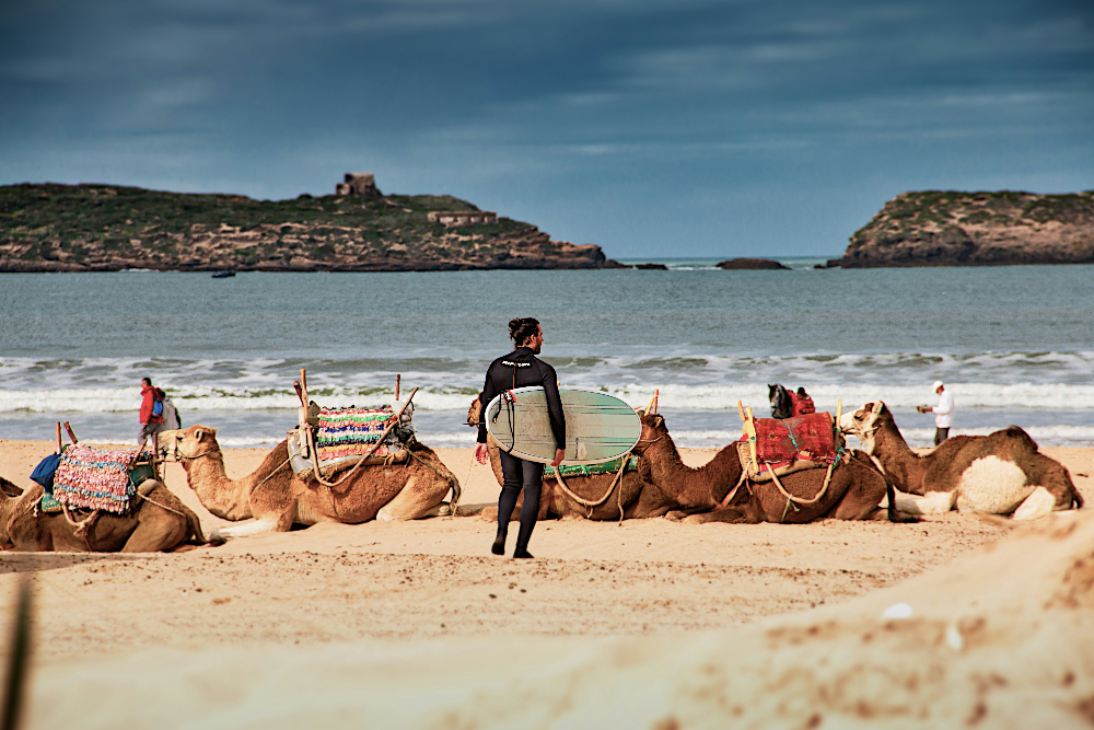 a surfer carrying a surf board in essaouira beach in morocco