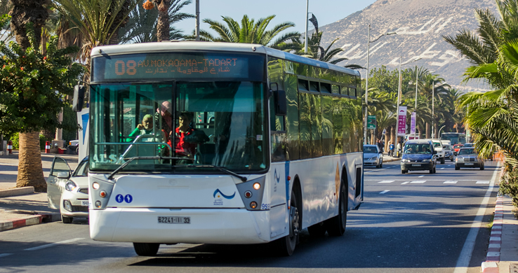 White city bus on a sunny street with palm trees and mountains in the background. LED sign reads ‘08 M'Dokkara-Taddart.’