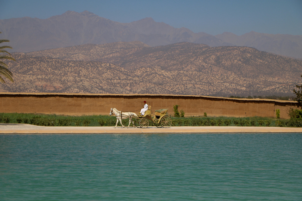a man driving a horse wagon in taroudant morocco