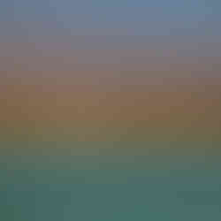 a man driving a horse wagon in taroudant morocco