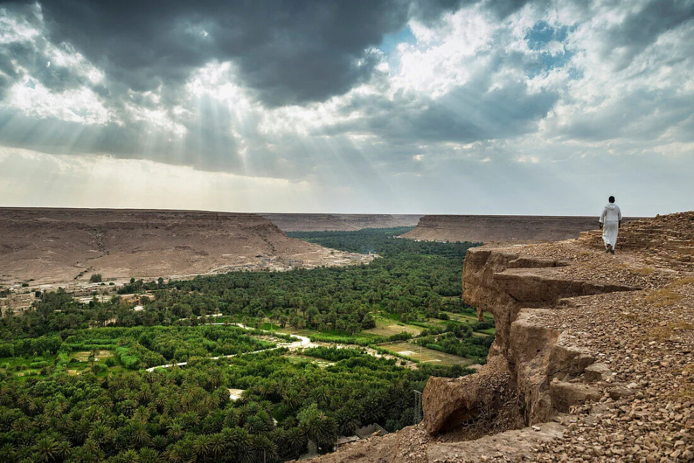 Ziz valley oasis in morocco