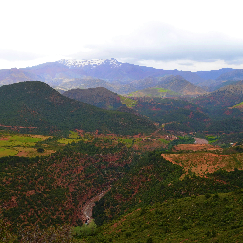 Mountain landscape with green valleys and snow-capped peaks in the background. Overcast sky adds a serene and dramatic mood.