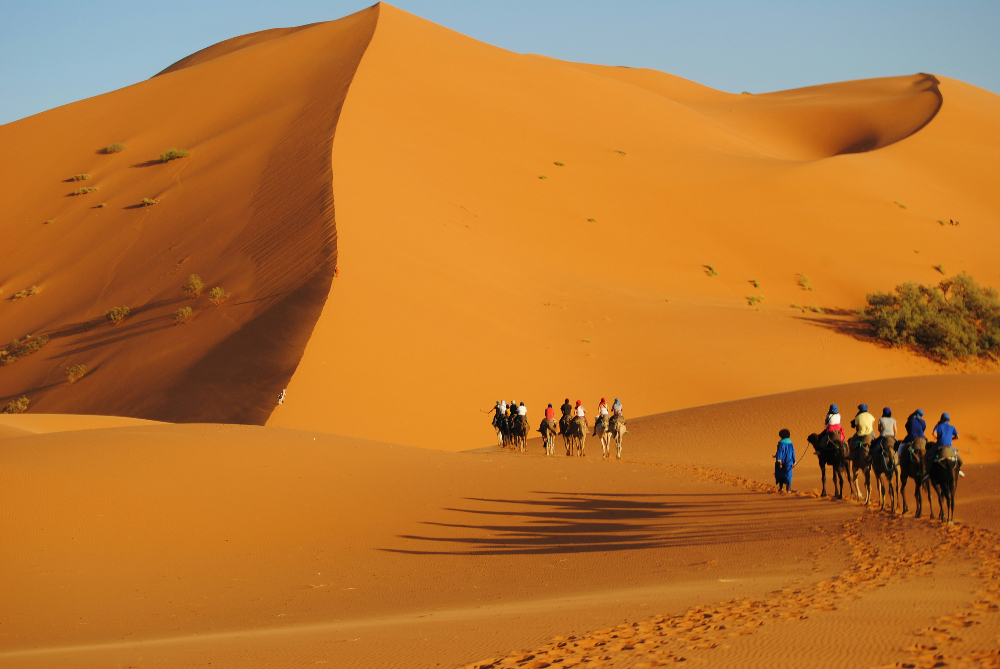 Giant golden sahara dune in erg chebbi near merzouga in morocco