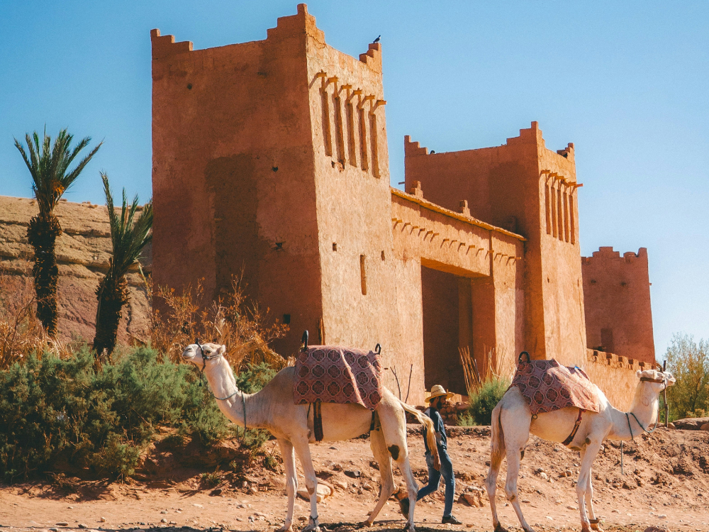 A desert castle in Morocco, in Ait ben Haddou village specifically, with two camels outside