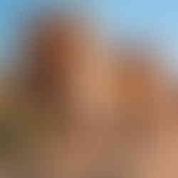 A desert castle in Morocco, in Ait ben Haddou village specifically, with two camels outside