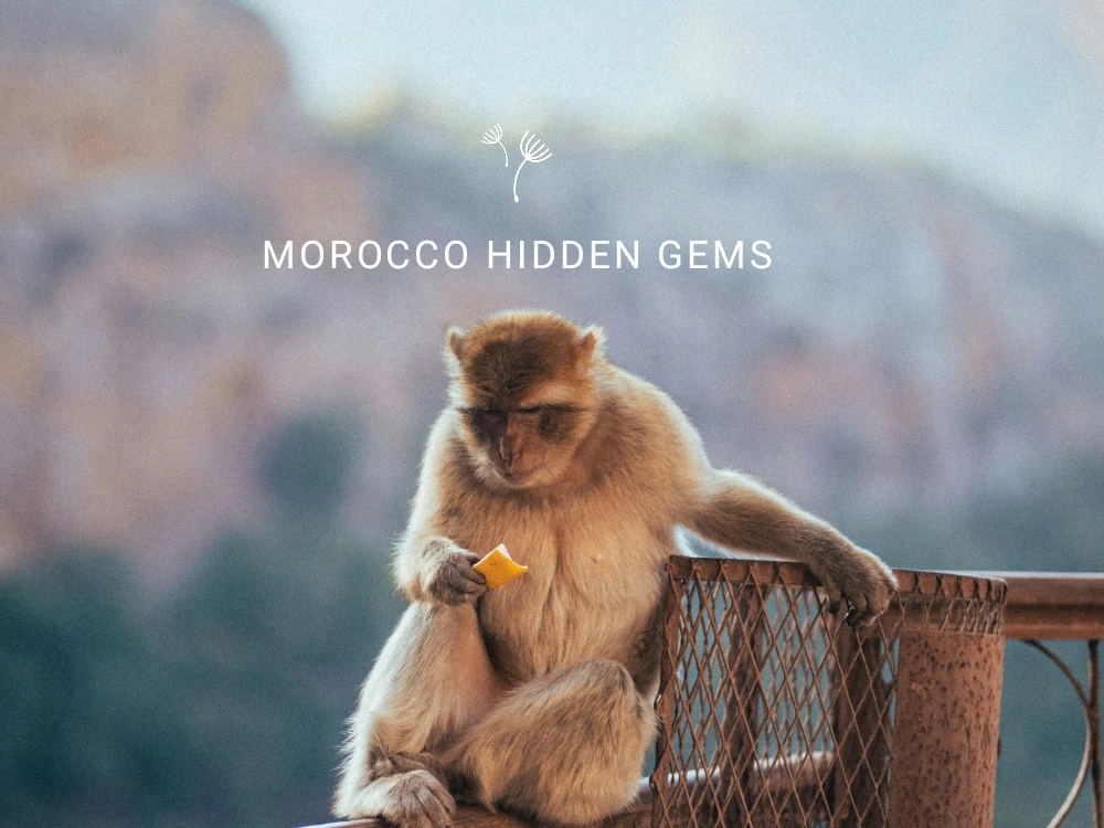 Hidden Gems in Morocco Most Tourists Miss