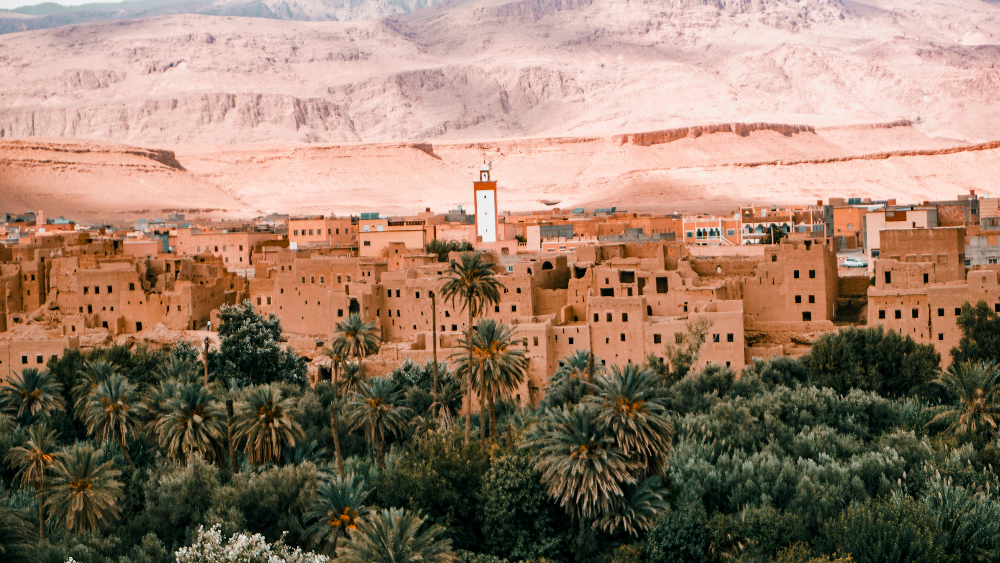 A landcape of a desert village in Morocco next to a valley full of palm trees