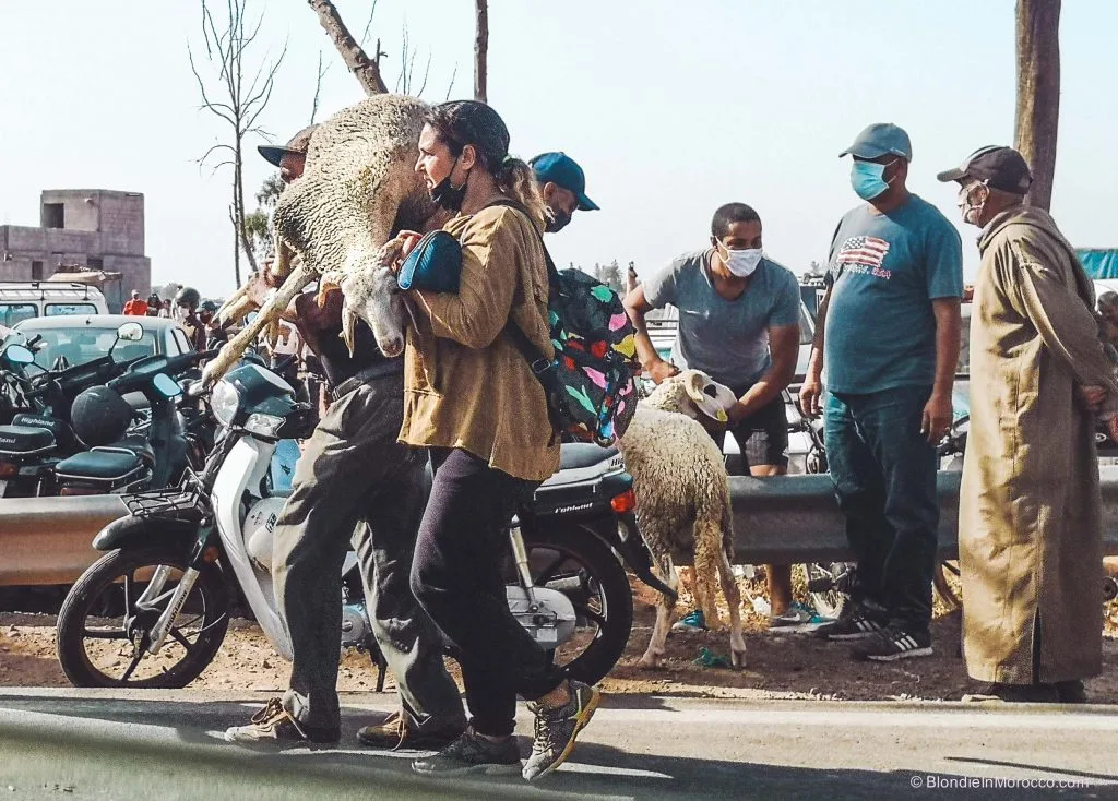 al adha in morocco is the worst time to visit morocco
