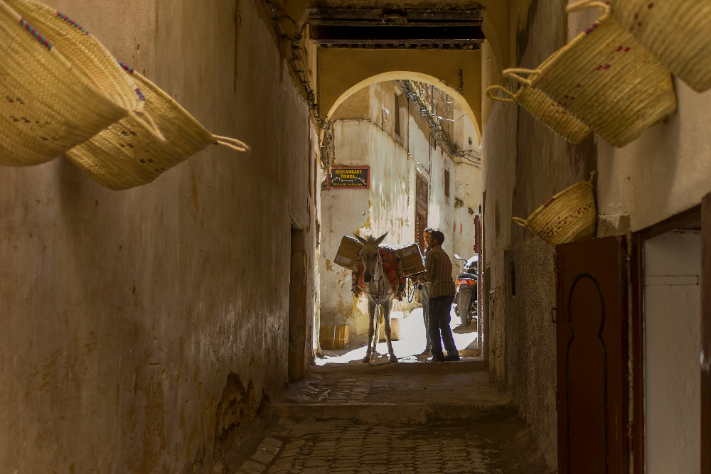an old alley in fes morocco. there's a man and a mule at the end of the alley