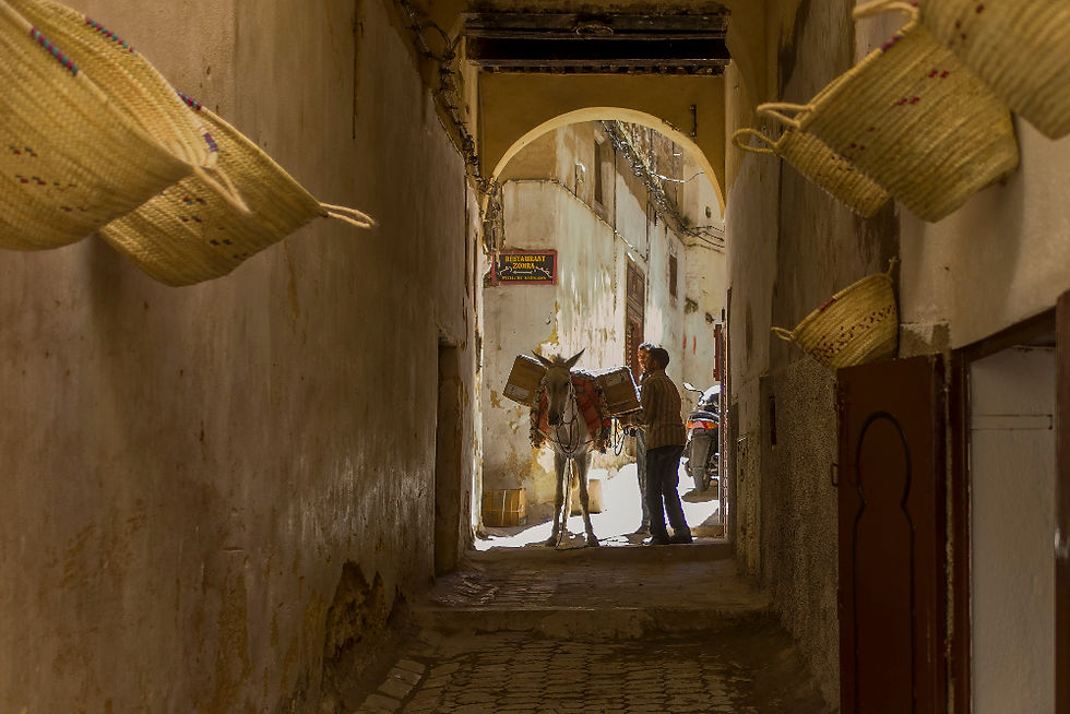 Man with donkey in narrow alley, sunlight filtering through archway. Hanging baskets on walls. Sign with text visible. Quiet, rustic scene.