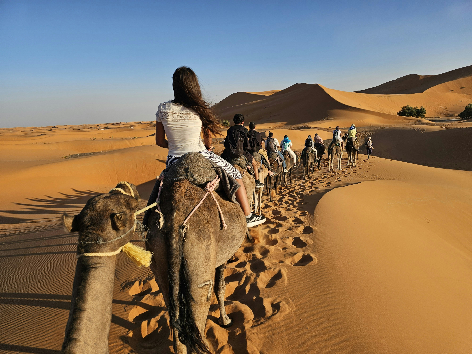 People ride camels in a line through golden desert dunes under a clear blue sky in morocco, creating a serene and adventurous atmosphere.