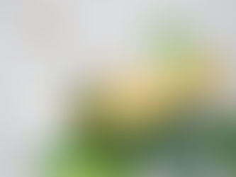 Tropical Vibes in a Glass: Pineapple Margarita Recipe from a Tampa Food Photographer