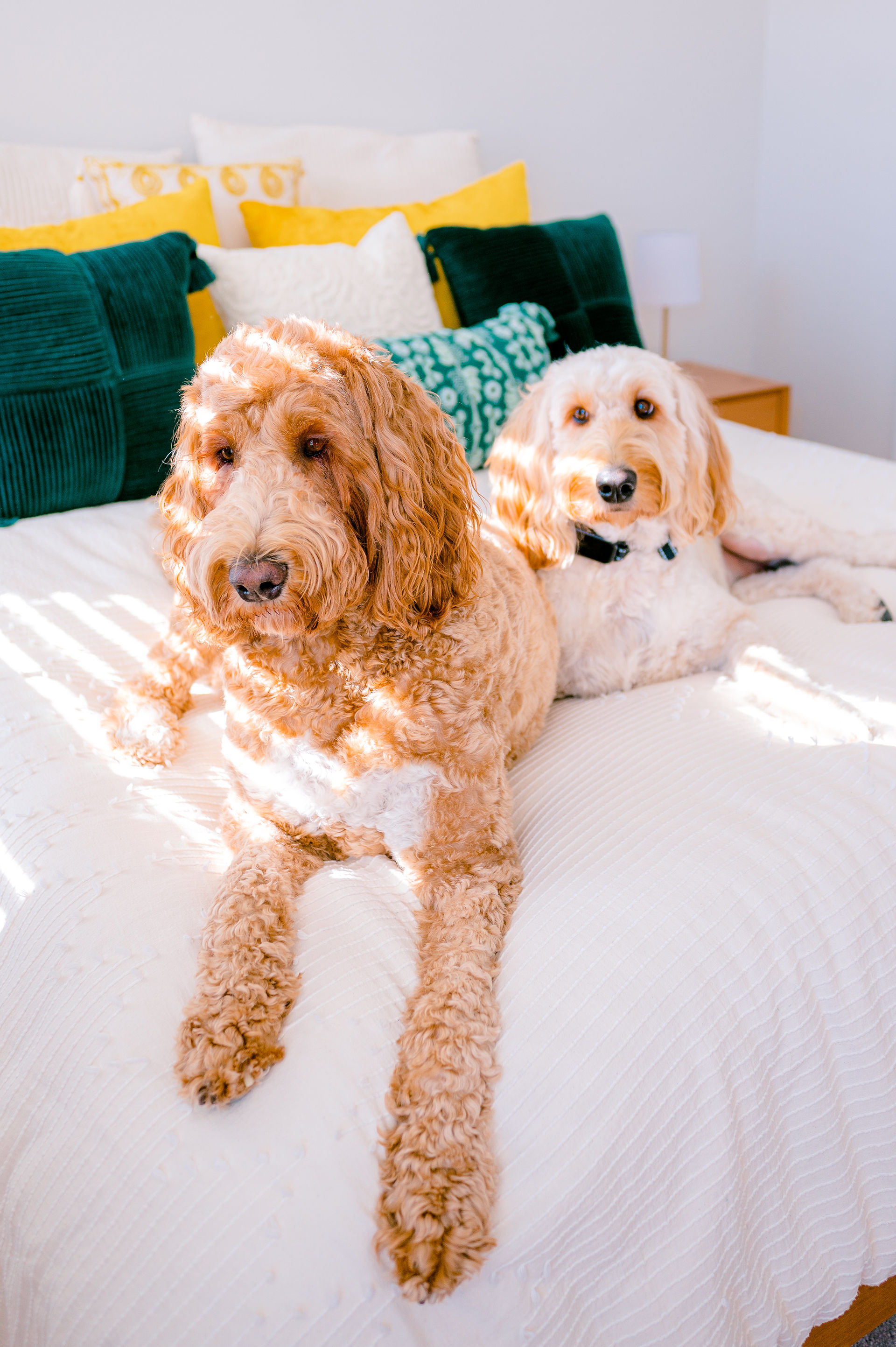10 Passionate Insights from Wesley Chapel Photographer Nina Bashaw Behind the Lens