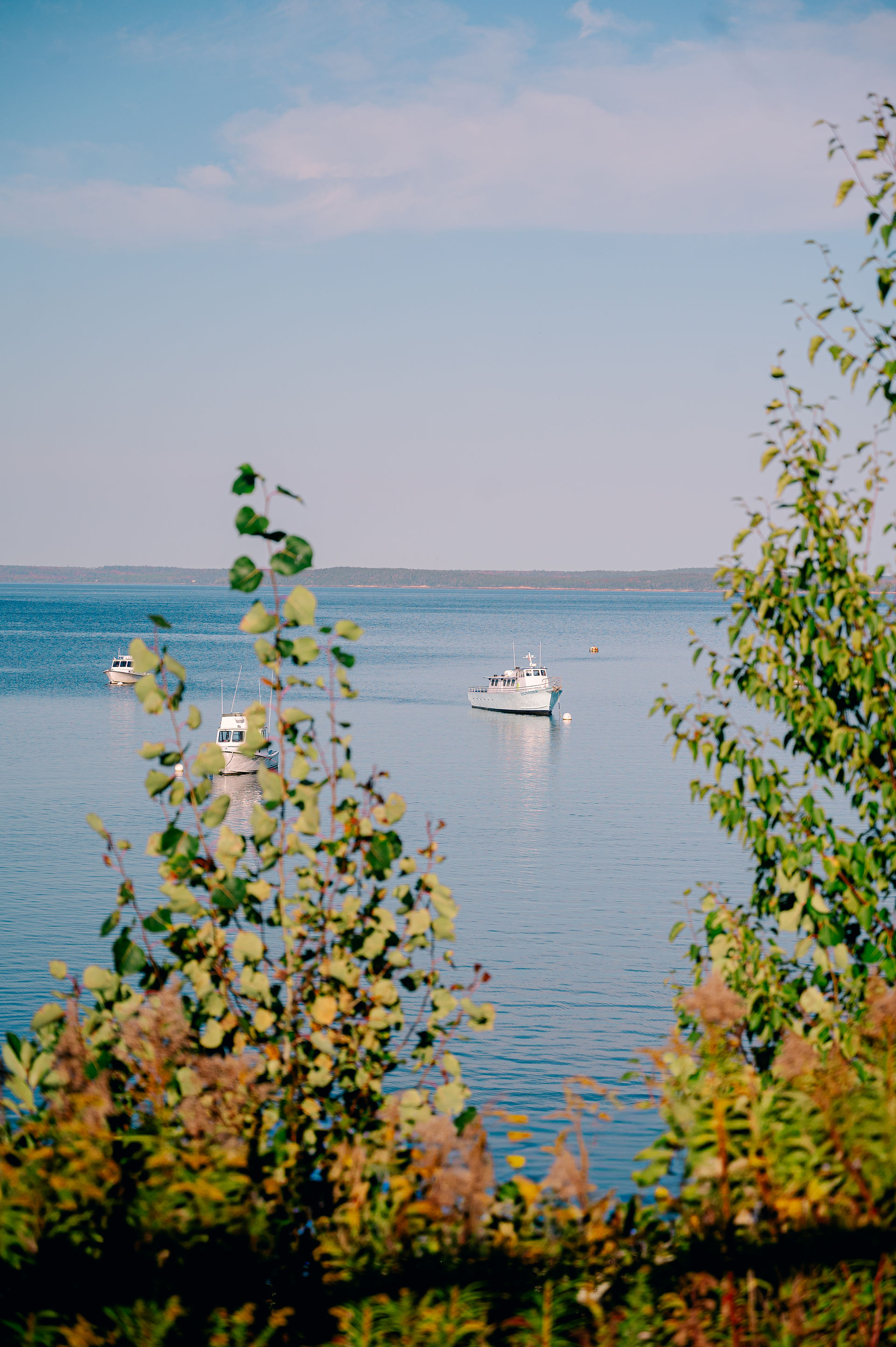 Bar Harbor Maine with fall foliage and scenic views captured by photographer Nina Bashaw