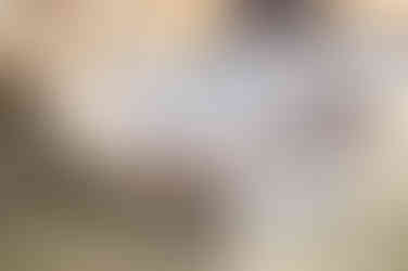 Food Photography at Scales Restaurant in Portland Maine by Destination Food and Branding Photographer Nina Bashaw