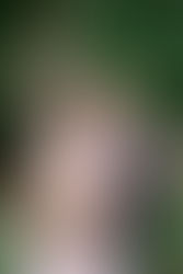 Why You Should Hire a Professional Florist Instead of DIYing Your Wedding Flowers: Insights from a St. Pete Wedding Photographer