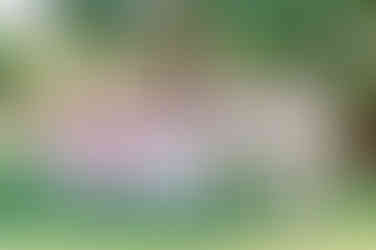 A Timeless Romance: A Wedding at the Historic Fenway Hotel by Tampa wedding photographer Nina Bashaw