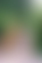 How to Plan a European Destination Elopement with Your Favorite Tampa Wedding Photographer