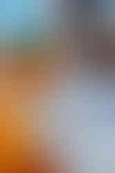 10 Things I Love Most Behind the Camera and Beyond from Wesley Chapel food photographer Nina Bashaw