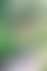 Senior Portraits at Grand Hyatt Tampa Bay by Tampa senior portrait photographer Nina Bashaw