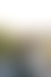 Sarasota Wedding Photographer Tips: Perfect Poses for Your Engagement Photos