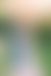 The Pros and Cons of Having a Small Bridal Party