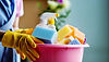 Taylor Maid_Cleaning Women.jpg