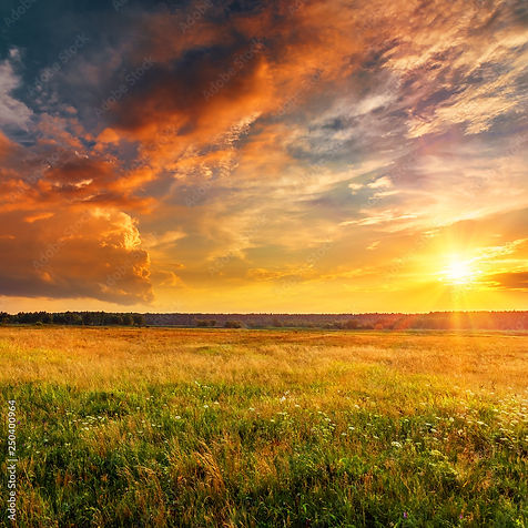 AdobeStock_250400964_Preview.jpeg