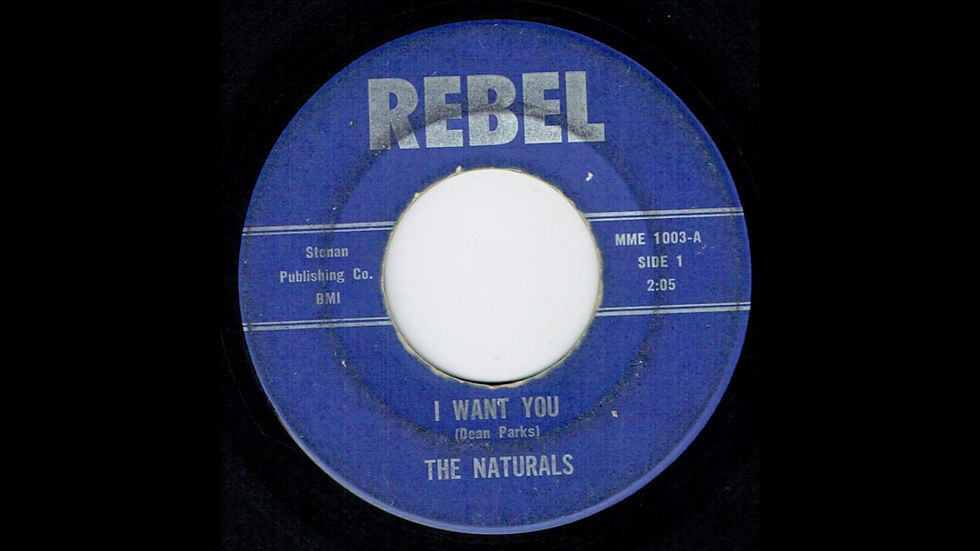 Thumbnail: Naturals - I Want You - Rebel