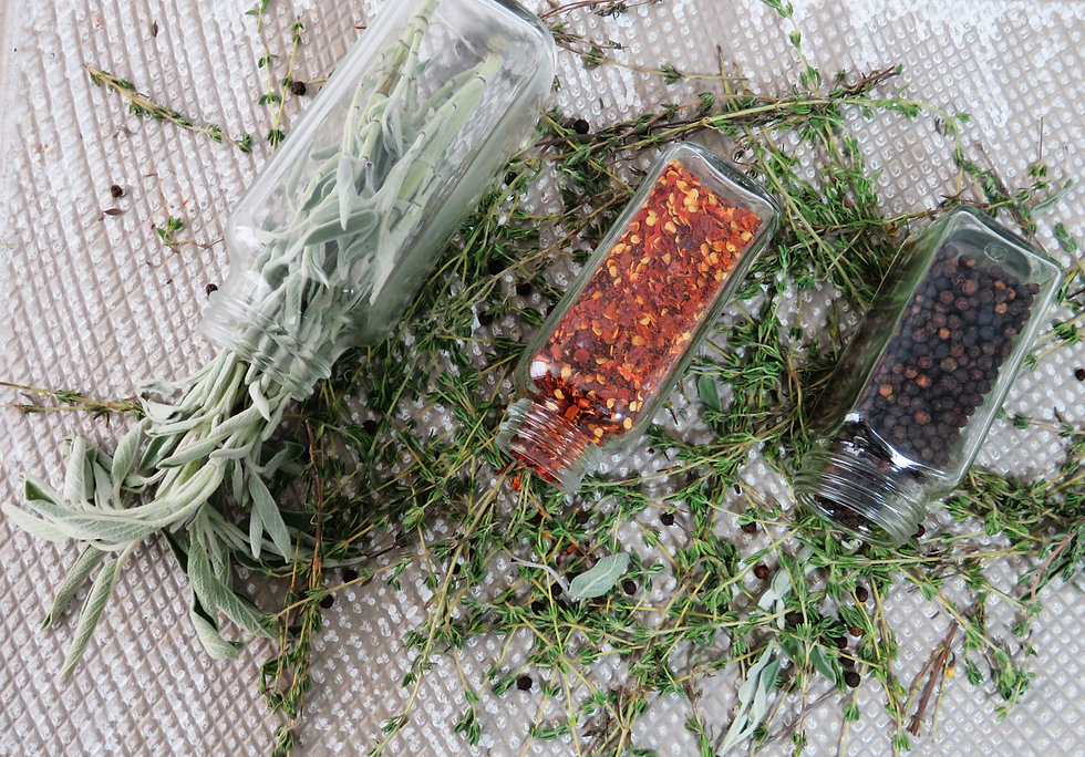 thyme bg 1 edit.jpg