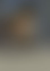 Artemisia Gentileschi: l’Inclinazione per Michelangelo Buonarroti il Giovane