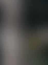 Culture walk: WHERE GARDEN PATHS LEAD TO PAINTINGS