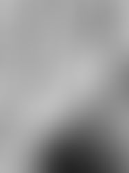 The New Woman Behind the Camera