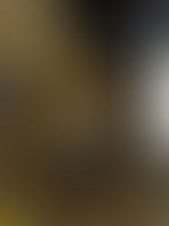 Broadcast: Galileo and the Grand Duchess Christina