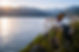 65bb9ce3-158a-4343-ae8b-bd2bc13542ba_edited.jpg