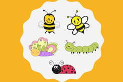 All Preschool Programs