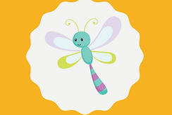 Dragonflies Class