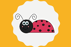 Ladybugs Class